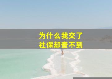 为什么我交了社保却查不到