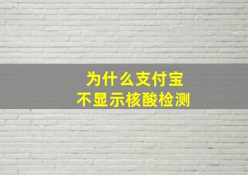 为什么支付宝不显示核酸检测