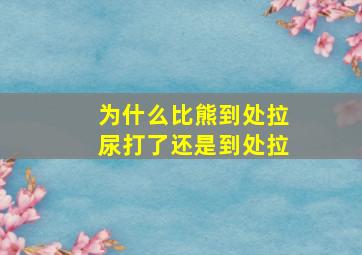 为什么比熊到处拉尿打了还是到处拉