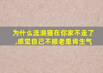 为什么流浪猫在你家不走了,感觉自己不顺老是肯生气