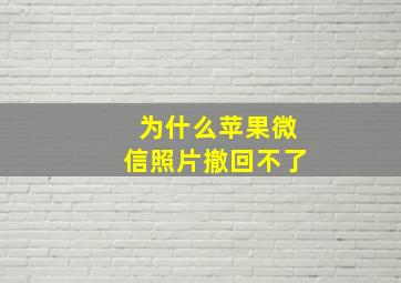 为什么苹果微信照片撤回不了