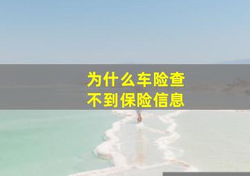 为什么车险查不到保险信息