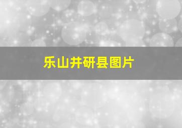 乐山井研县图片