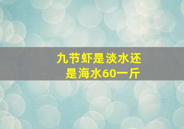 九节虾是淡水还是海水60一斤