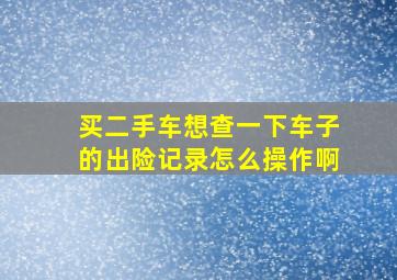 买二手车想查一下车子的出险记录怎么操作啊