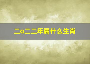 二o二二年属什么生肖