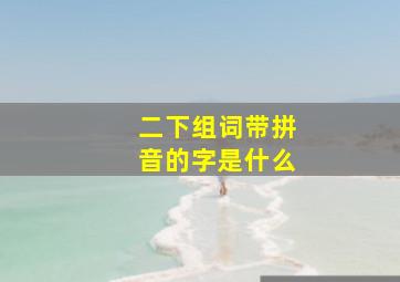 二下组词带拼音的字是什么