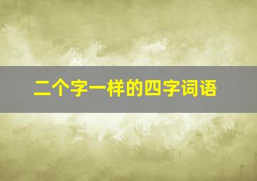 二个字一样的四字词语