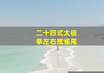 二十四式太极拳左右揽雀尾