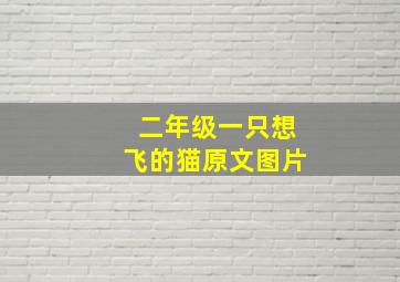 二年级一只想飞的猫原文图片