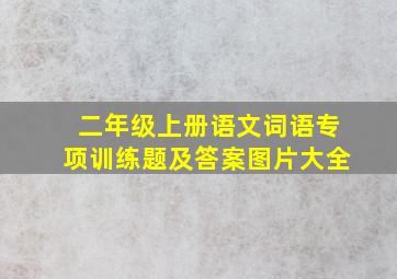 二年级上册语文词语专项训练题及答案图片大全