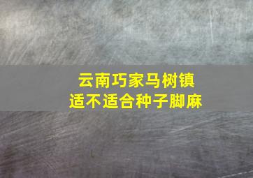 云南巧家马树镇适不适合种子脚麻