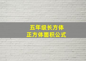 五年级长方体正方体面积公式