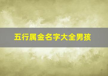 五行属金名字大全男孩