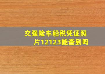 交强险车船税凭证照片12123能查到吗