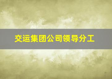 交运集团公司领导分工