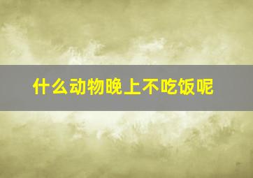 什么动物晚上不吃饭呢