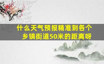 什么天气预报精准到各个乡镇街道50米的距离呀