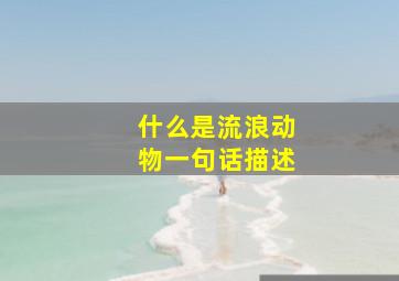 什么是流浪动物一句话描述