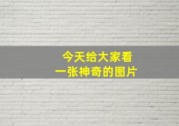 今天给大家看一张神奇的图片