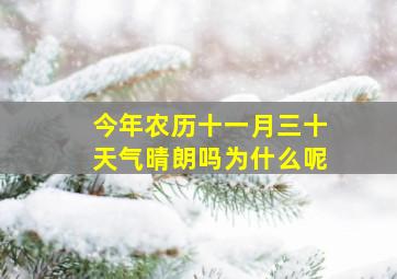 今年农历十一月三十天气晴朗吗为什么呢