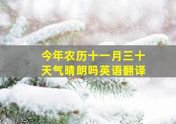 今年农历十一月三十天气晴朗吗英语翻译