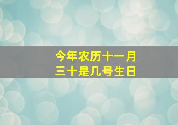 今年农历十一月三十是几号生日