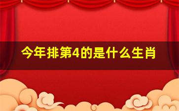 今年排第4的是什么生肖