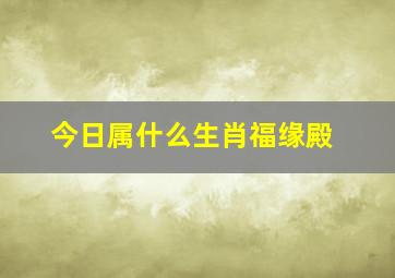 今日属什么生肖福缘殿