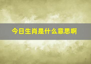 今日生肖是什么意思啊