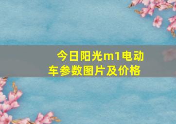 今日阳光m1电动车参数图片及价格