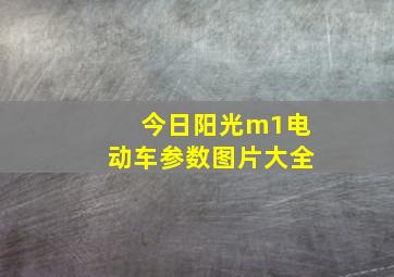 今日阳光m1电动车参数图片大全