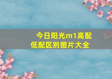 今日阳光m1高配低配区别图片大全