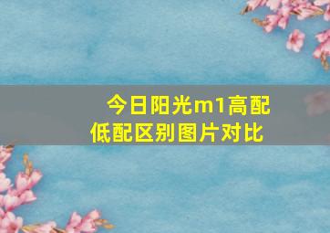 今日阳光m1高配低配区别图片对比