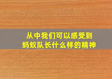 从中我们可以感受到蚂蚁队长什么样的精神