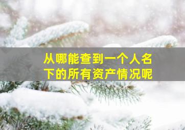 从哪能查到一个人名下的所有资产情况呢