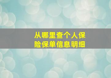 从哪里查个人保险保单信息明细