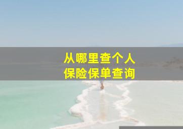 从哪里查个人保险保单查询