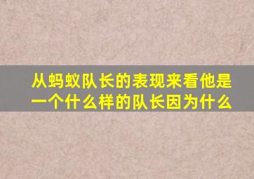 从蚂蚁队长的表现来看他是一个什么样的队长因为什么