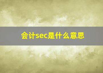 会计sec是什么意思