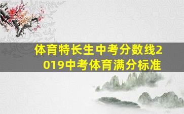 体育特长生中考分数线2019中考体育满分标准