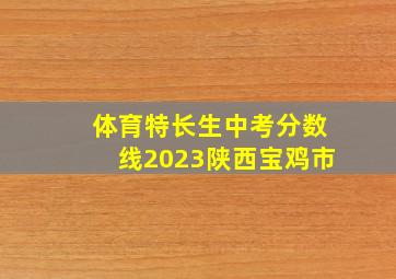 体育特长生中考分数线2023陕西宝鸡市