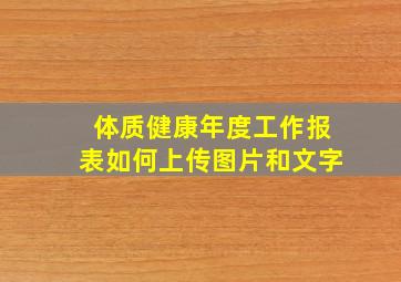 体质健康年度工作报表如何上传图片和文字