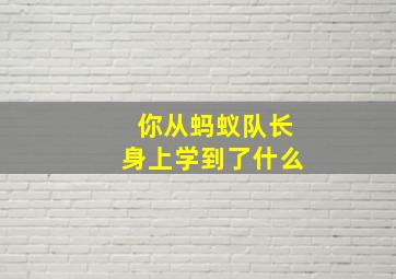 你从蚂蚁队长身上学到了什么