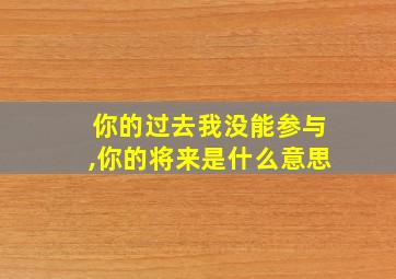 你的过去我没能参与,你的将来是什么意思