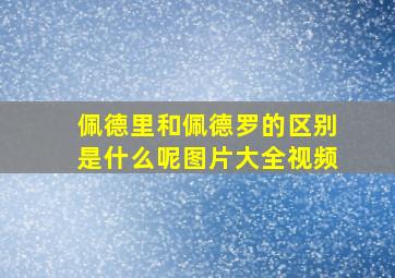 佩德里和佩德罗的区别是什么呢图片大全视频