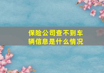 保险公司查不到车辆信息是什么情况