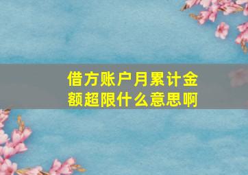 借方账户月累计金额超限什么意思啊