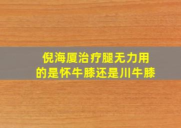 倪海厦治疗腿无力用的是怀牛膝还是川牛膝