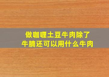 做咖喱土豆牛肉除了牛腩还可以用什么牛肉